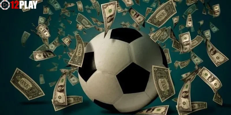 Các bộ môn thể thao phổ biến và giải đấu hấp dẫn