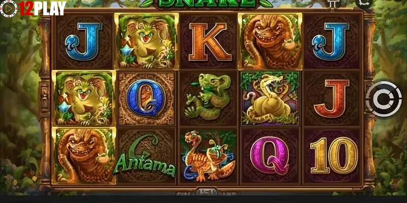 Lưu ý và kinh nghiệm từ người chơi tại 12PLAY