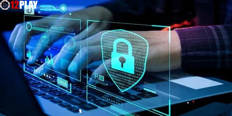 Quyền lợi và trách nhiệm của người dùng trong Chính sách bảo mật